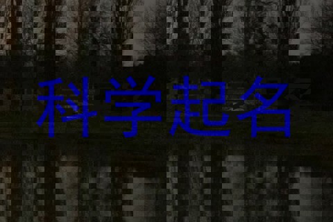 科学起名