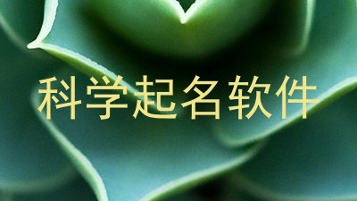 科学起名软件