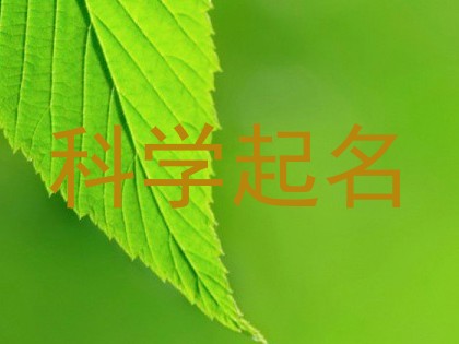 科学起名