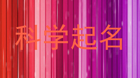 科学起名