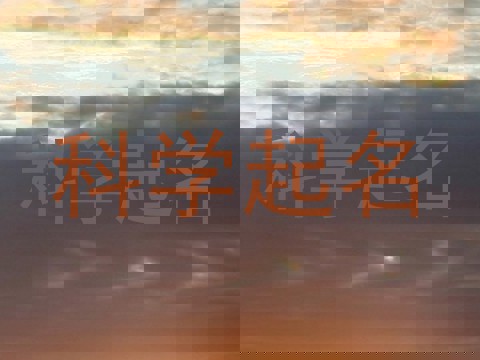 科学起名