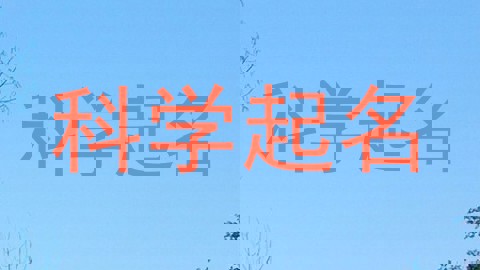 科学起名