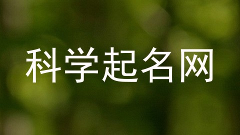 科学起名网