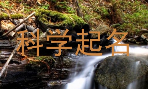 科学起名