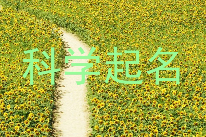 科学起名