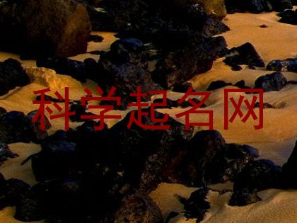 科学起名网
