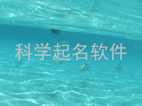 科学起名软件
