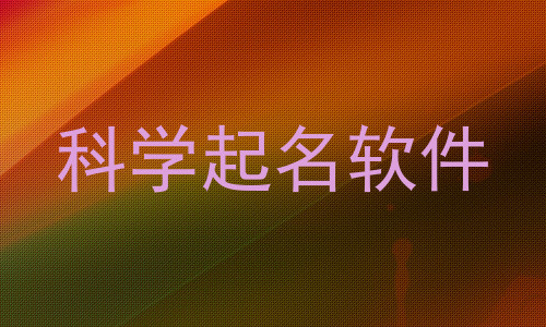 科学起名软件