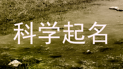 科学起名