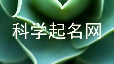 科学起名网