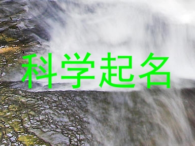 科学起名