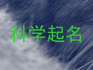科学起名