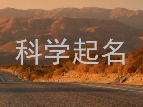 科学起名