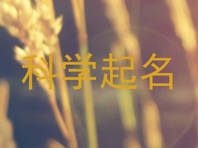 科学起名