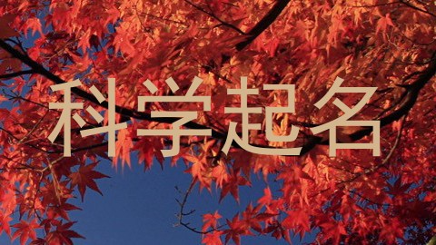科学起名