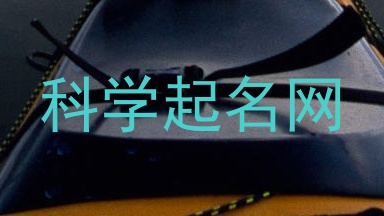 科学起名网