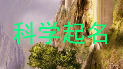 科学起名