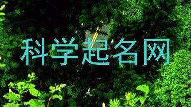 科学起名网