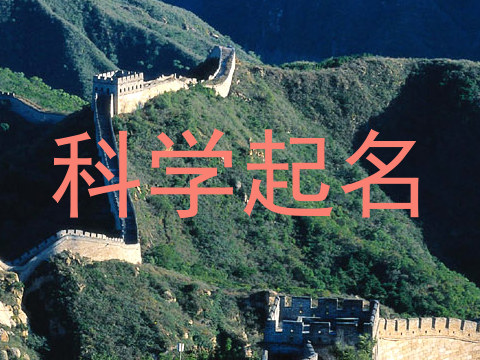 科学起名