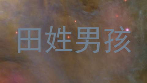 田姓男孩