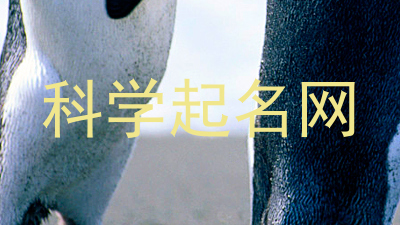 科学起名网