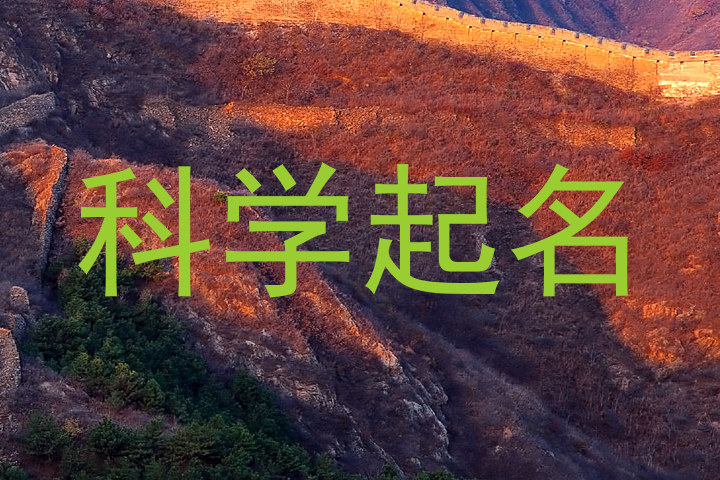 科学起名