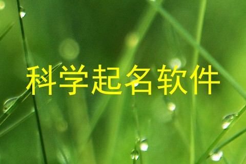 科学起名软件