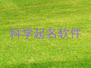 科学起名软件