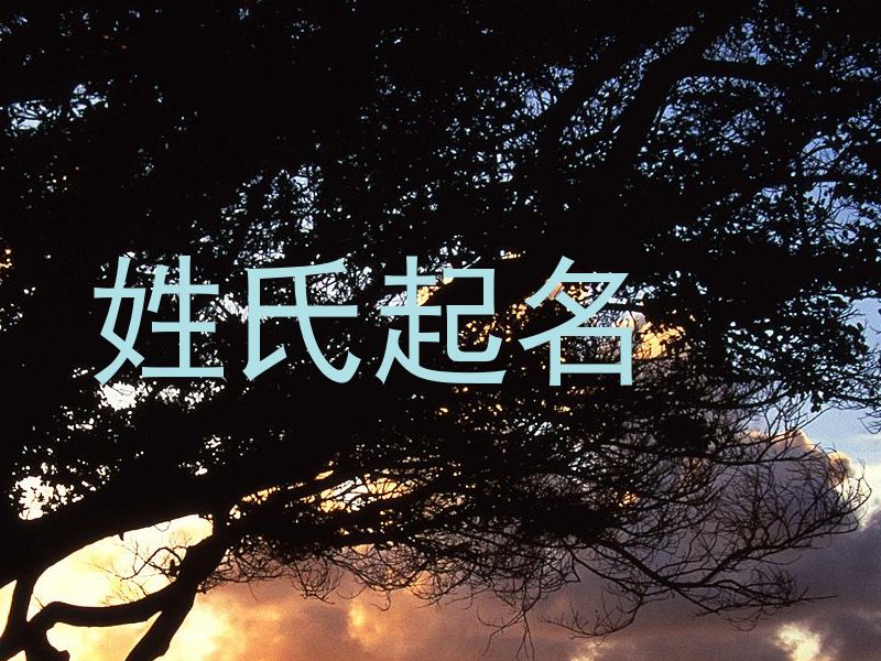 姓氏起名