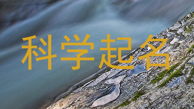 科学起名