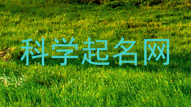 科学起名网