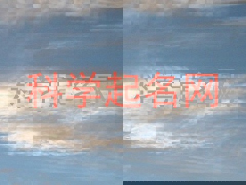 科学起名网