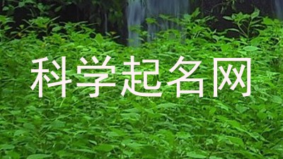科学起名网