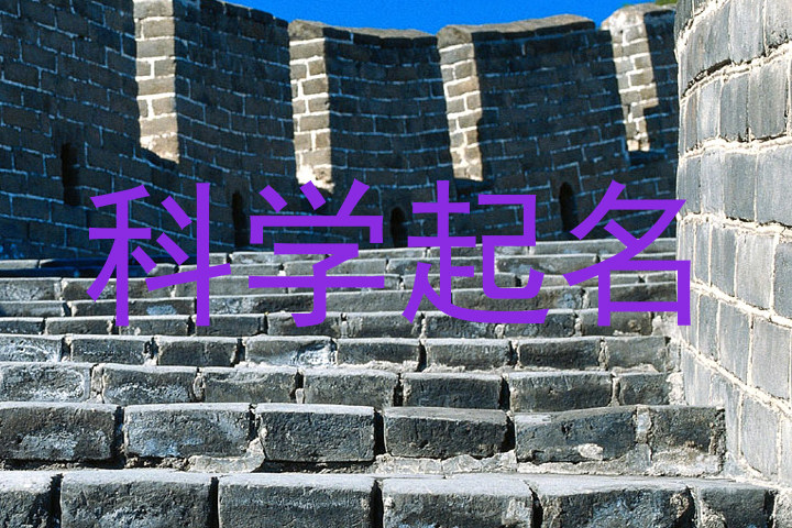 科学起名