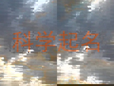 科学起名