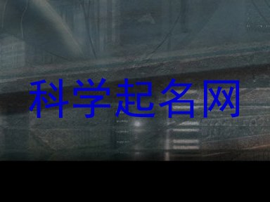 科学起名网