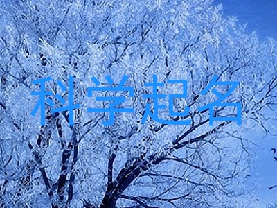 科学起名