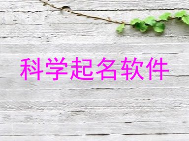 科学起名软件