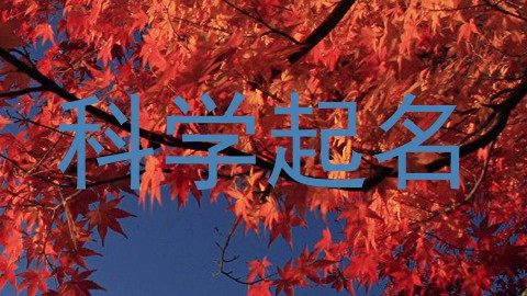 科学起名