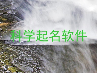 科学起名软件