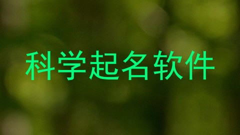 科学起名软件