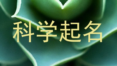 科学起名