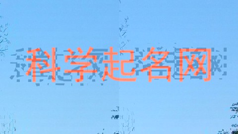 科学起名网