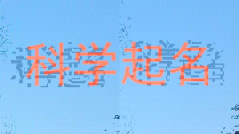科学起名