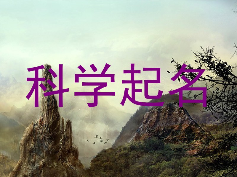 科学起名