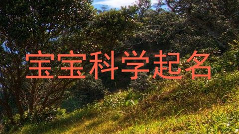 宝宝科学起名