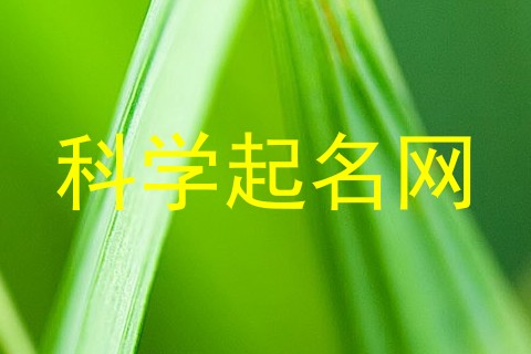 科学起名网