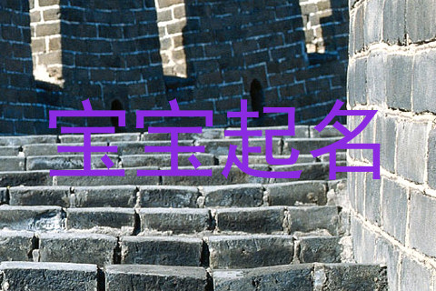 宝宝起名