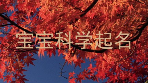 宝宝科学起名