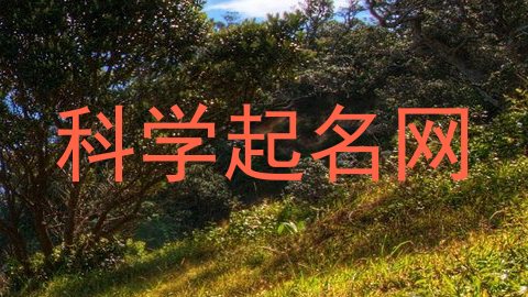 科学起名网